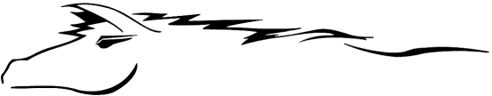 mustang horse stripes