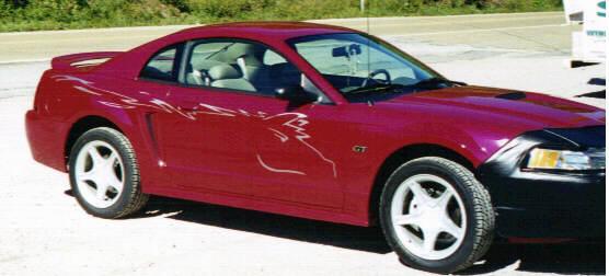 picture of mustang stripe