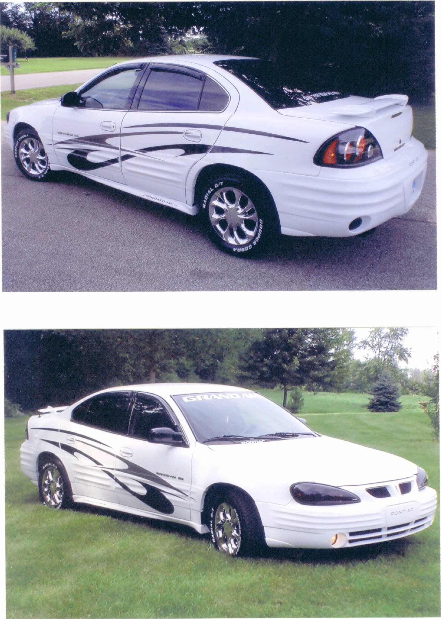 Wild Side Stripes