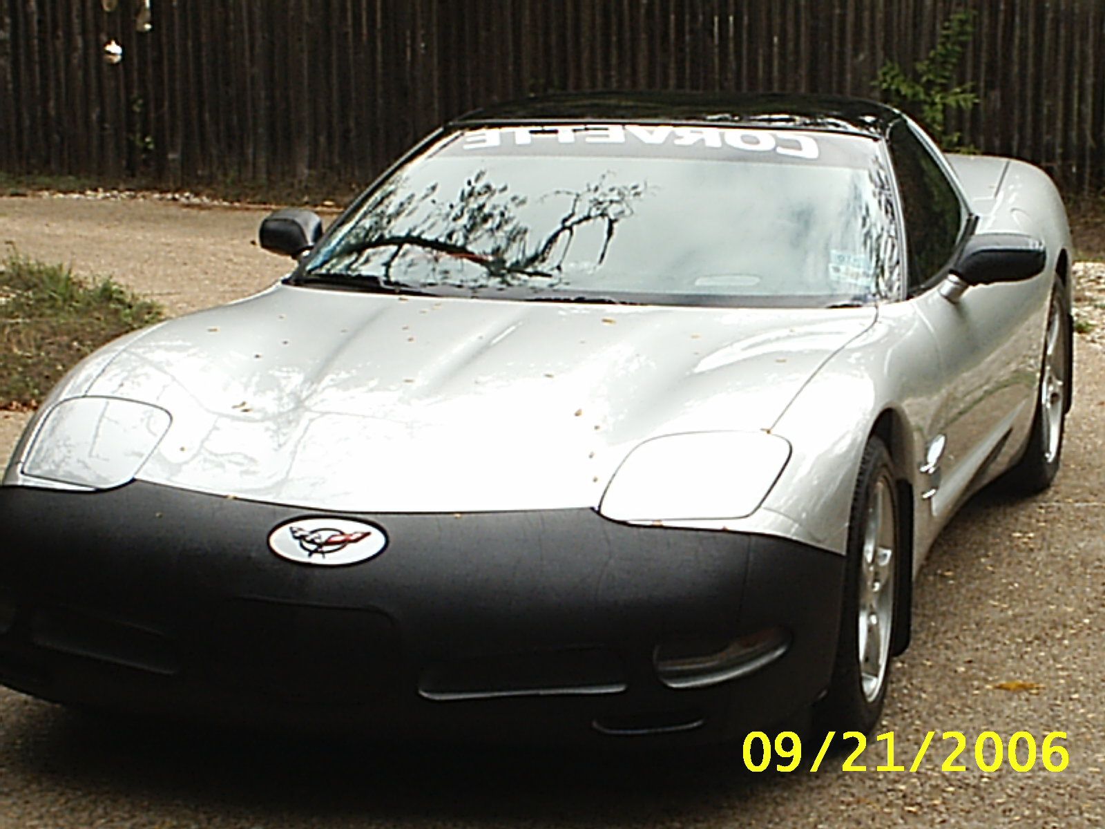 Vette
