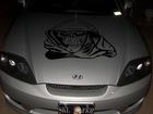Tiburon Hood Skull