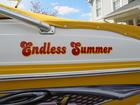 Our Endless Summer