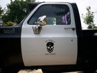 I just painted my 1976 Chevy K10 a cop car theme and the rest of the truck is skull and crossbones.