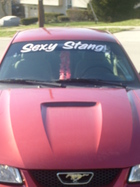 My Sexy Stang!