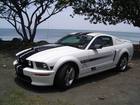 Mustang by the beach