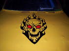 skull