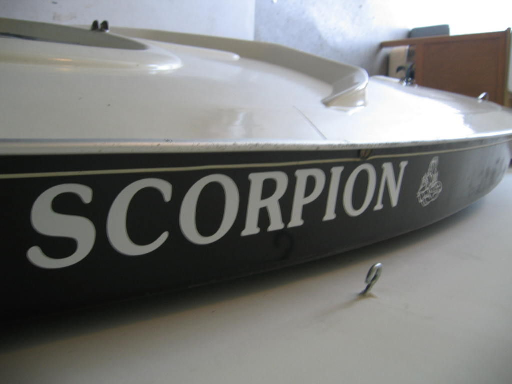 BRAND NEW  33 YEAR OLD SCORPION