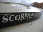 BRAND NEW  33 YEAR OLD SCORPION