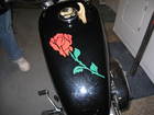 MY sportster tank ROSE