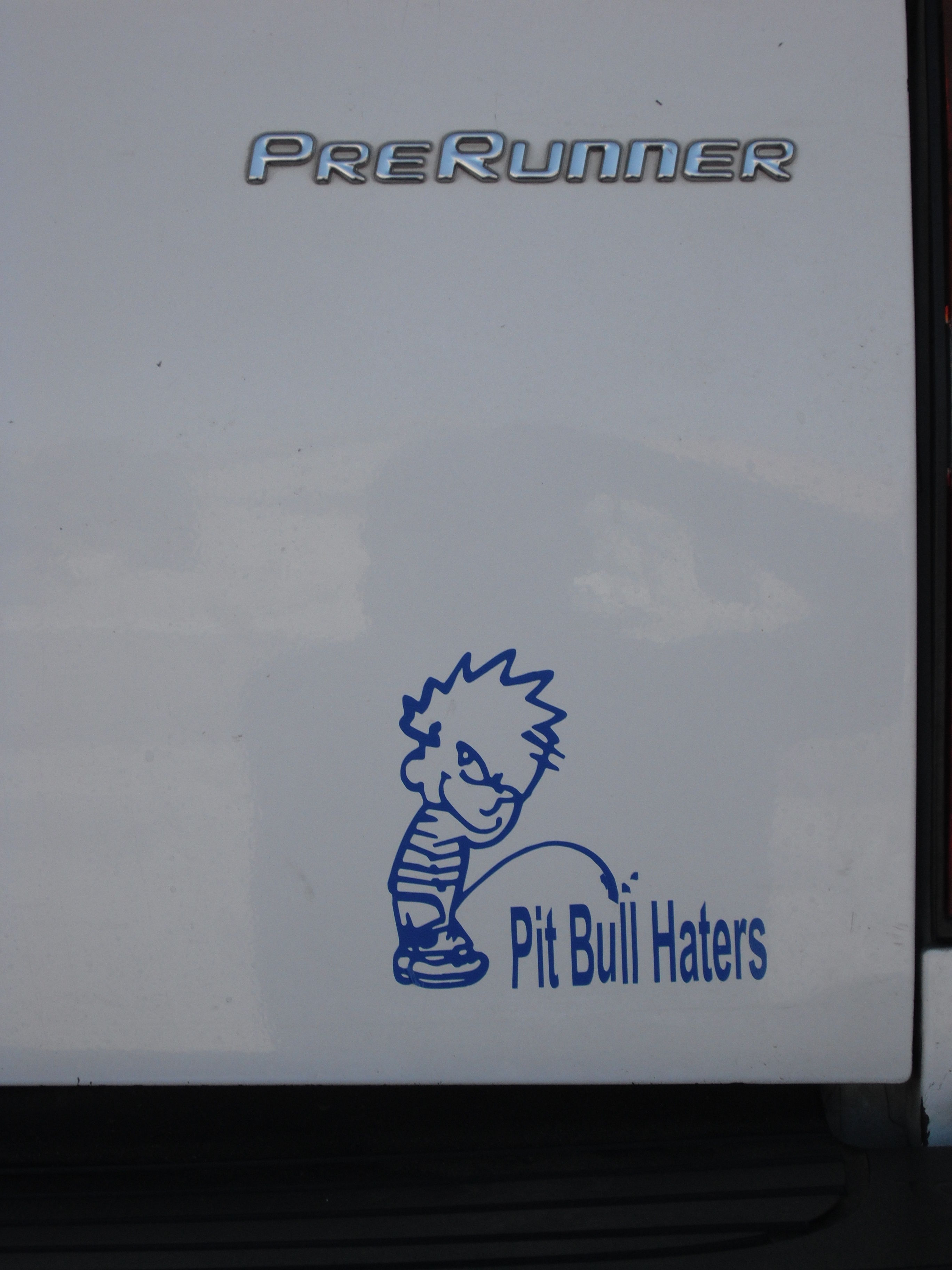 PEE ON PIT BULL HATERS!!!!!