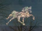 Custom Camo TWH decal