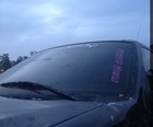 F15dy girls club windshield decal