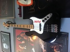 pick guard decal