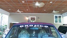Bronco Decal. 4x38 Swamp Terror
