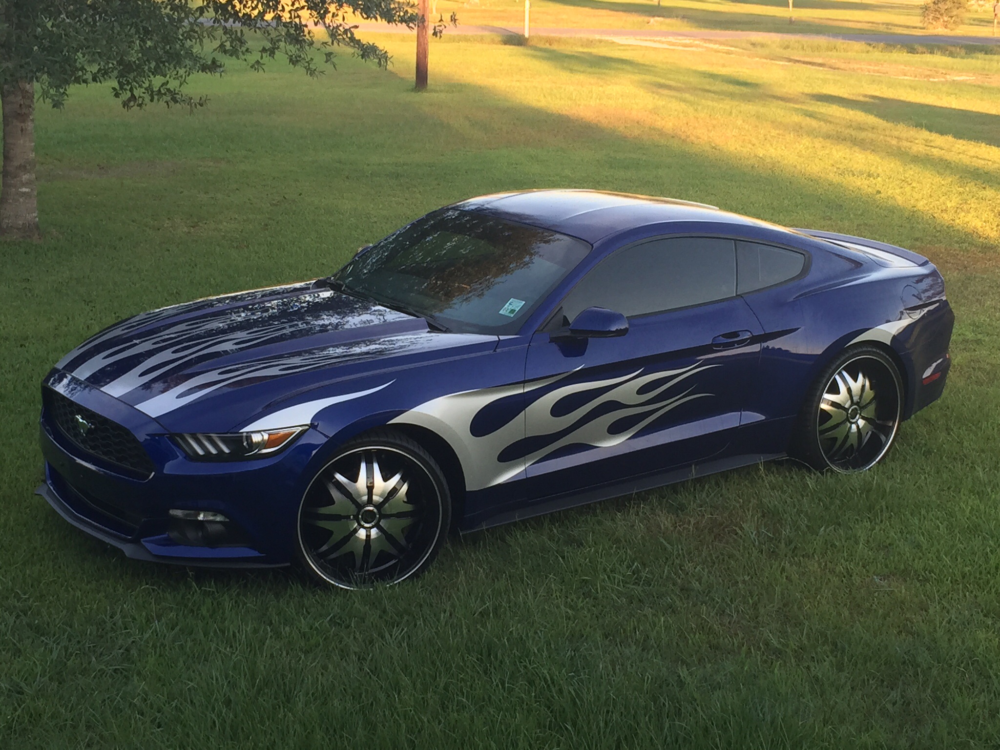2015 Mustang