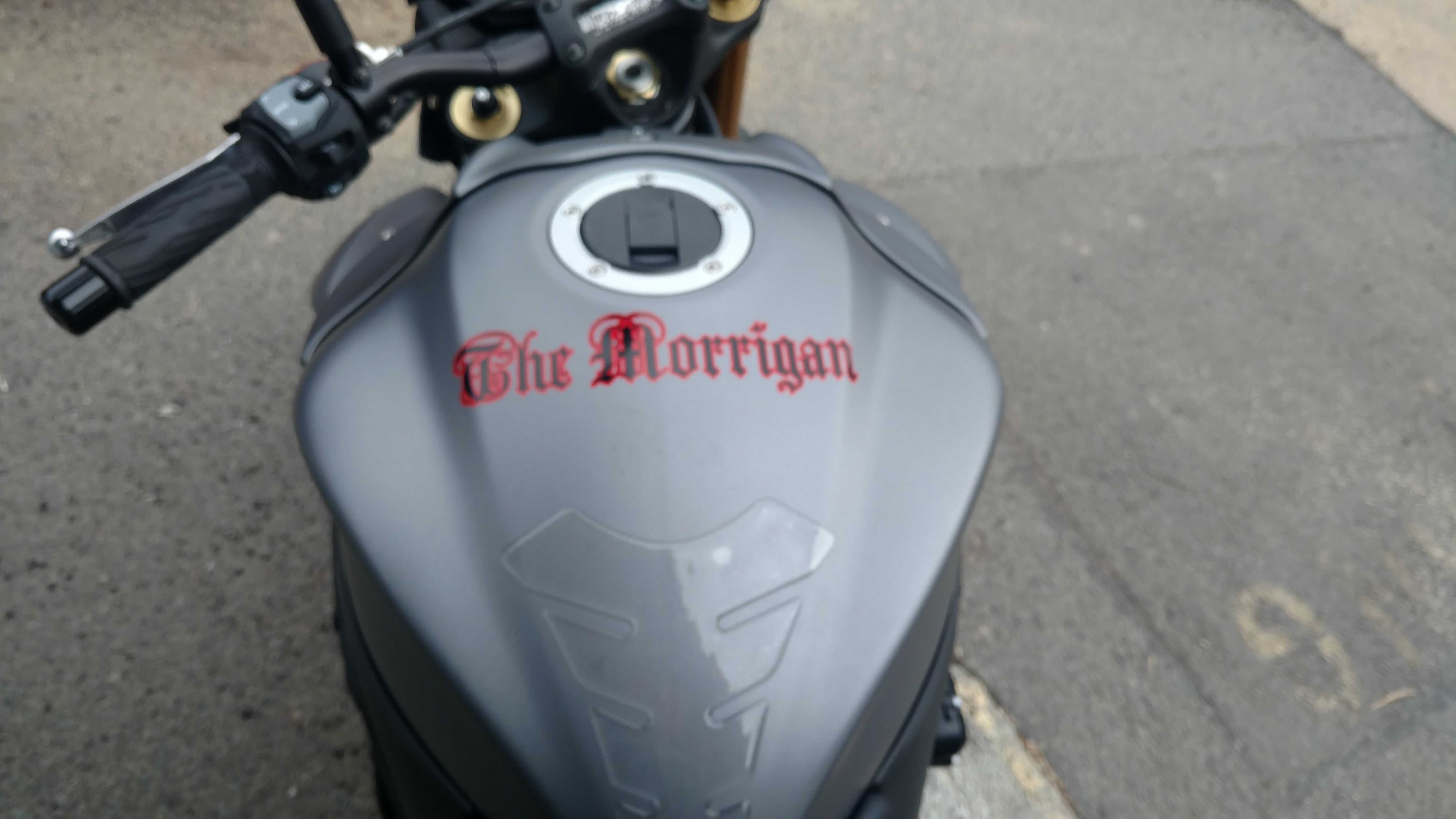 My Girlfriend's Tramp Stamp