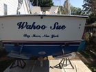 Purchased this not knowing if it ran. When I started it my wife said Wahoo, thus it became Wahoo Sue