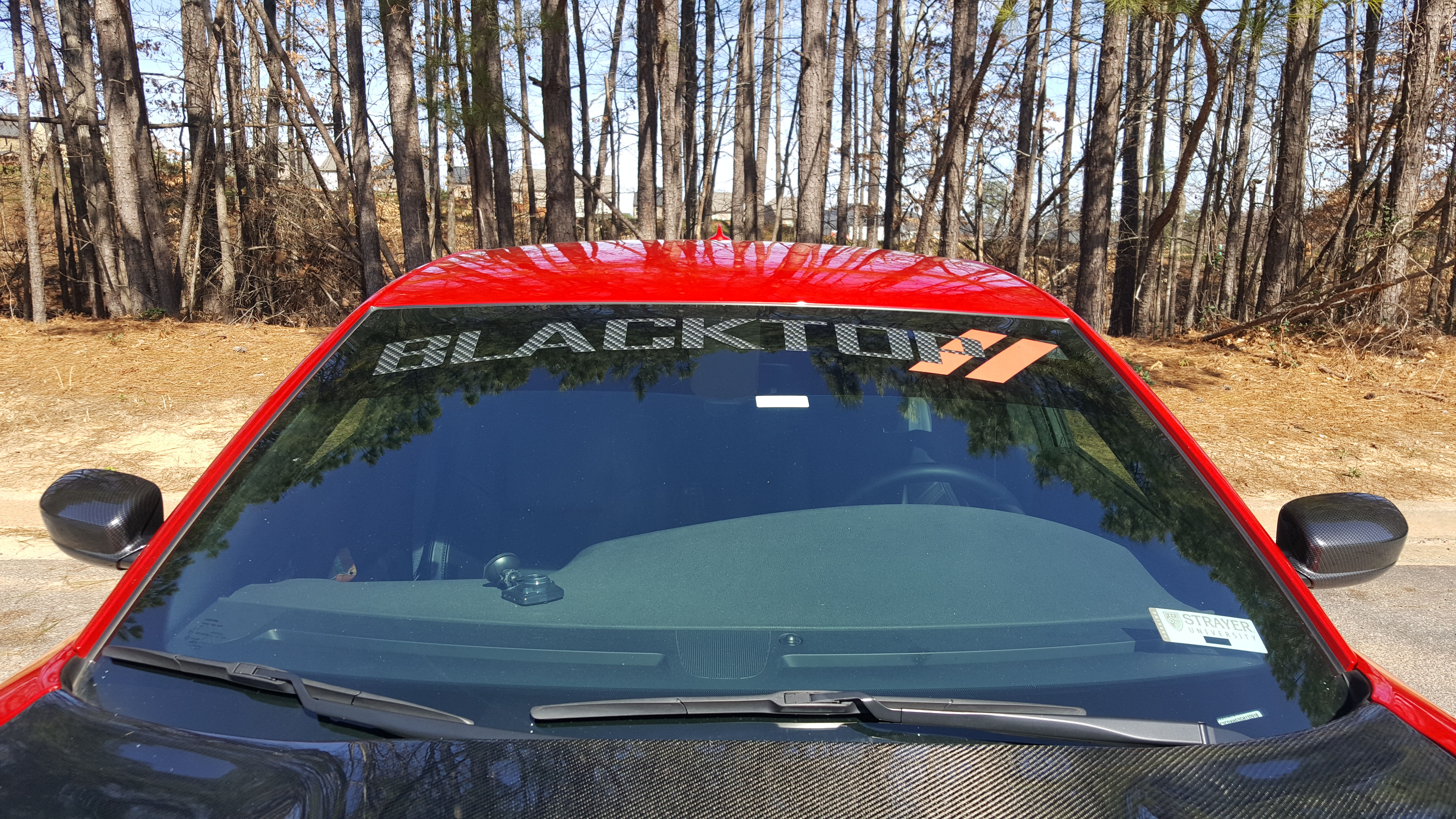 Carbon fiber 