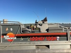 LOONEY TOON