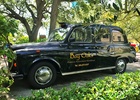 London Cab with Decal