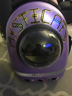 Mysticats Bubble Backpack
