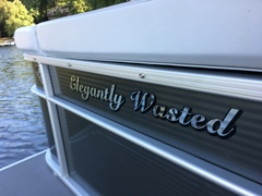 Elegantly Wasted