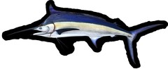 Black Marlin image