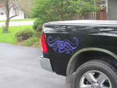 Flying eyeball on my Ram's quarter panel